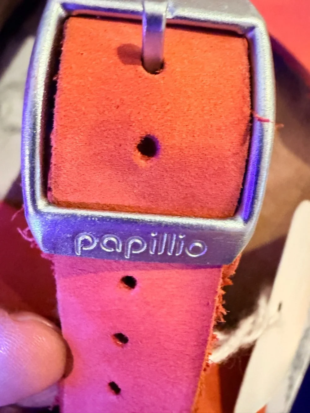 Papillio Coral Crisscross Ankle-Strap Wedge Sandal - Picture 8 of 8